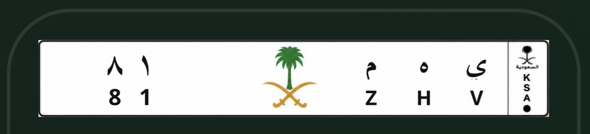 صورة لوحة ي ه م 81