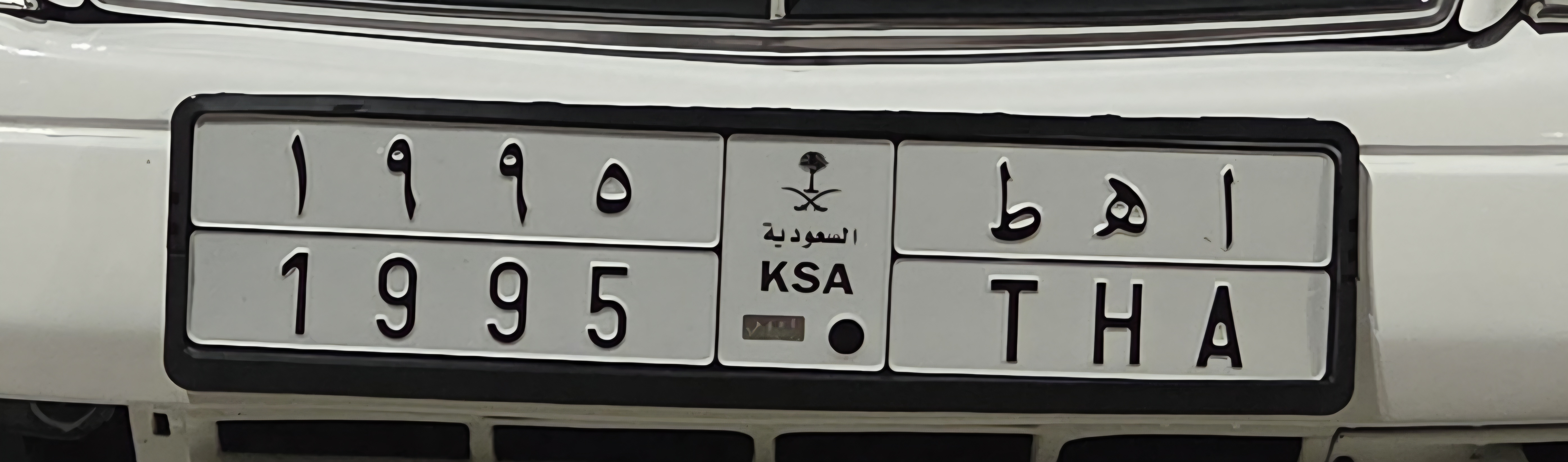 صورة لوحة أ ه ط 1995